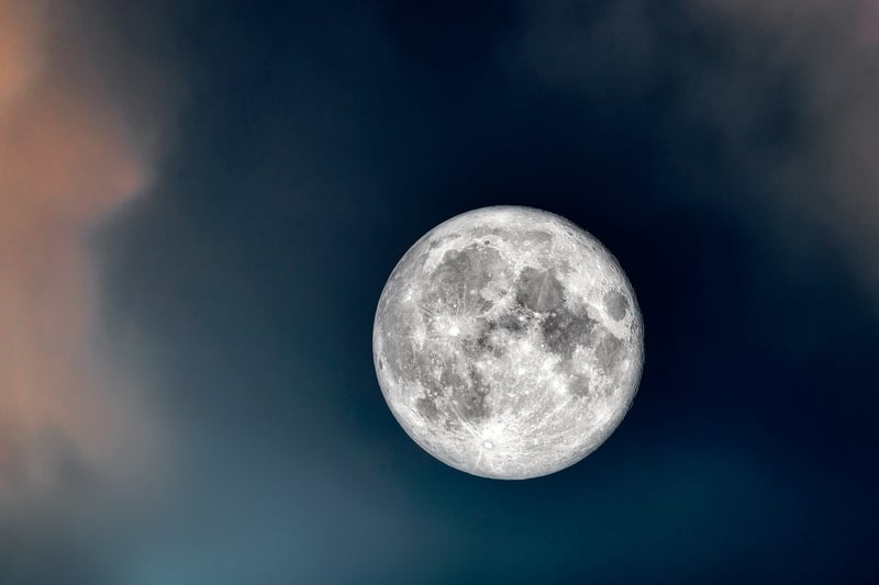 Moonlit Night